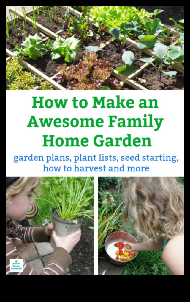 Green Thumb Chronicles: Stories of Successful Garden Care