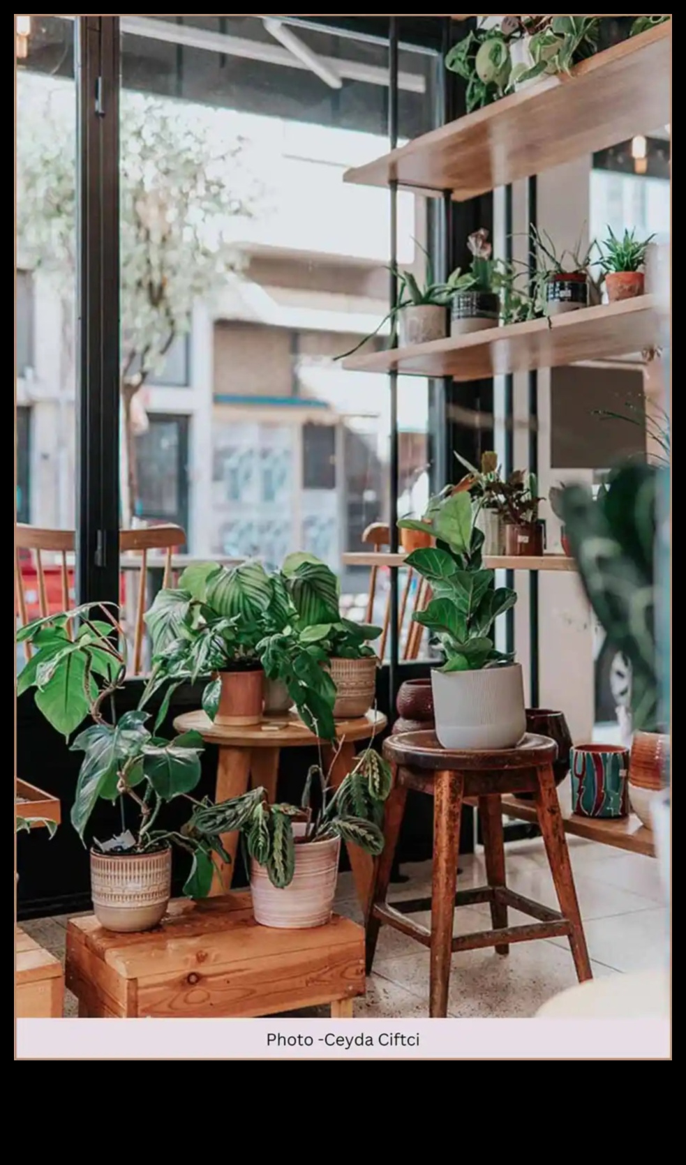 Δώστε ζωή στο τοπίο σας με τη μαγευτική διακόσμηση κήπου 4 Αναπνεύστε ζωή στο τοπίο σας: Σαγηνευτική διακόσμηση κήπου