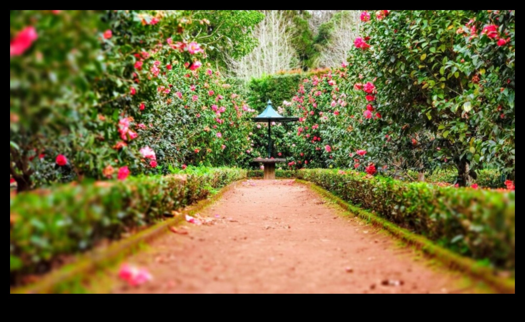 Garden Symphony: Σχέδια που αντηχούν στη φύση