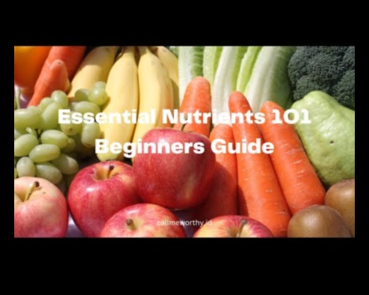 Απαραίτητα θρεπτικά συστατικά Ένας οδηγός για αρχάριους για την ευεξία 3 Essential Nutrients 101: A Beginner's Guide to Wellness