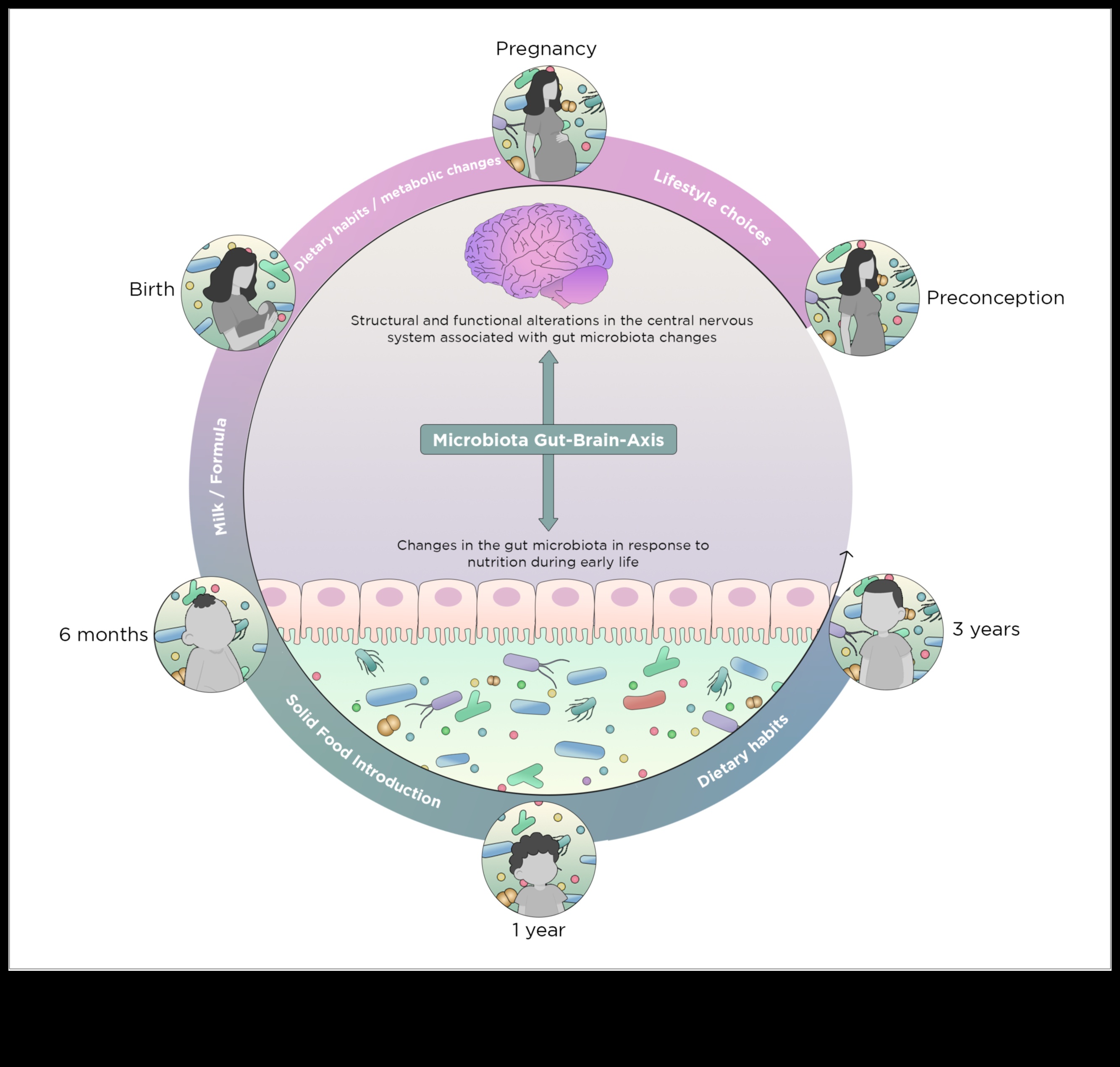 Από τα άτομα στην όρεξη Ένα ταξίδι μέσα από τη δυναμική της διατροφικής βιοχημείας 2 Atoms to Appetite: Understanding Nutrition Biochemistry Dynamics
