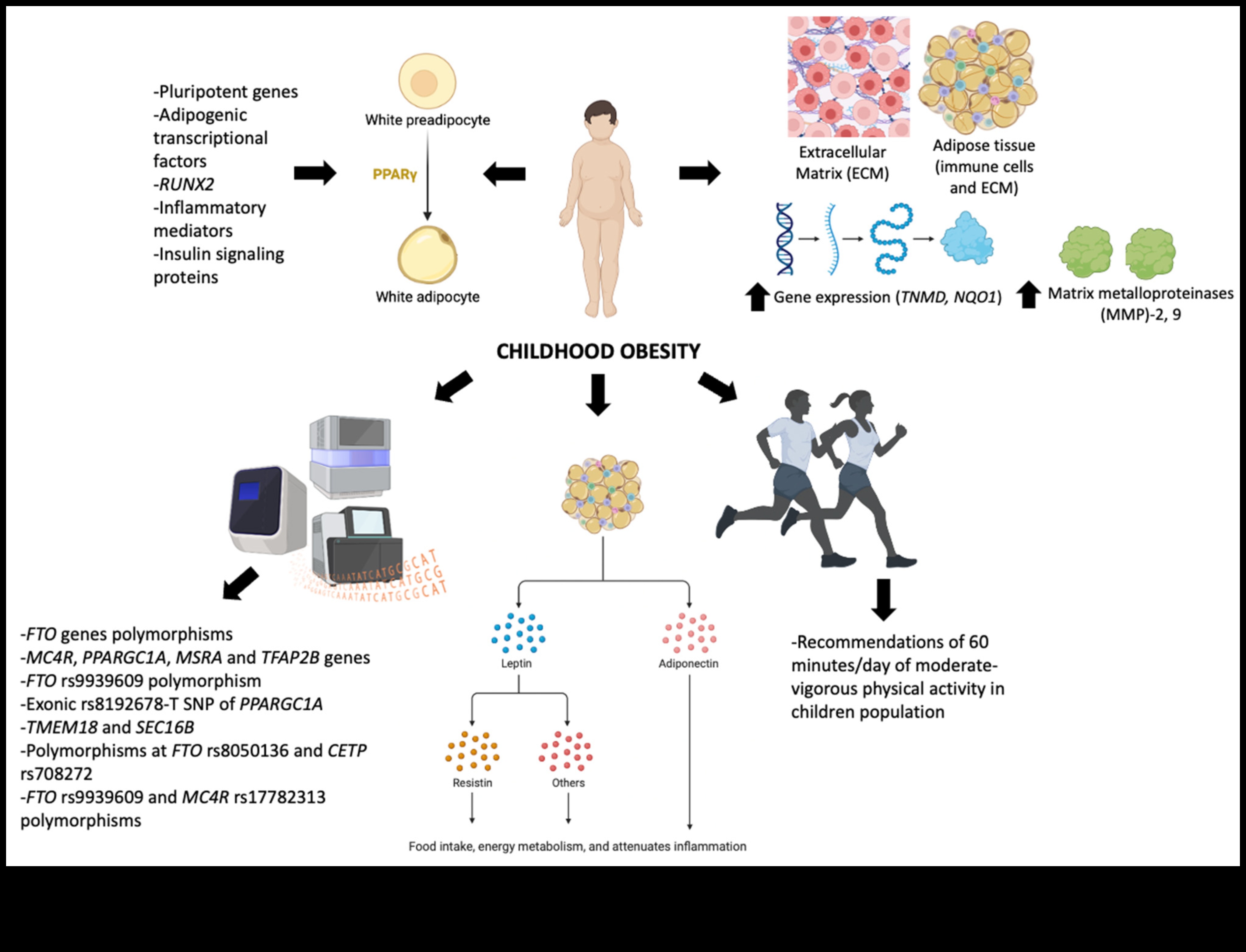 Από τα άτομα στην όρεξη Ένα ταξίδι μέσα από τη δυναμική της διατροφικής βιοχημείας 5 Atoms to Appetite: Understanding Nutrition Biochemistry Dynamics