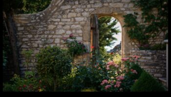 Floral Fantasy: DIY Inspirations for a Garden Bursting with Beauty