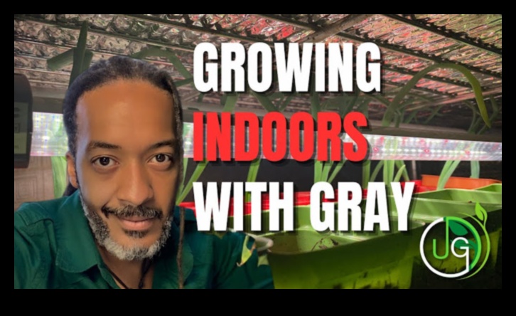 Green Thumb Chronicles: Stories of Successful Garden Care