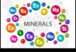 Mineral Symphony: Orchestrating Health Through Essential Elements
