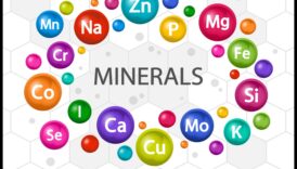 Mineral Symphony: Orchestrating Health Through Essential Elements