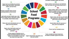 The Inclusive Plate Ένας οδικός χάρτης για πιο υγιείς κοινότητες 6 The Inclusive Plate: Διατροφικές στρατηγικές για τη δημόσια υγεία για όλους
