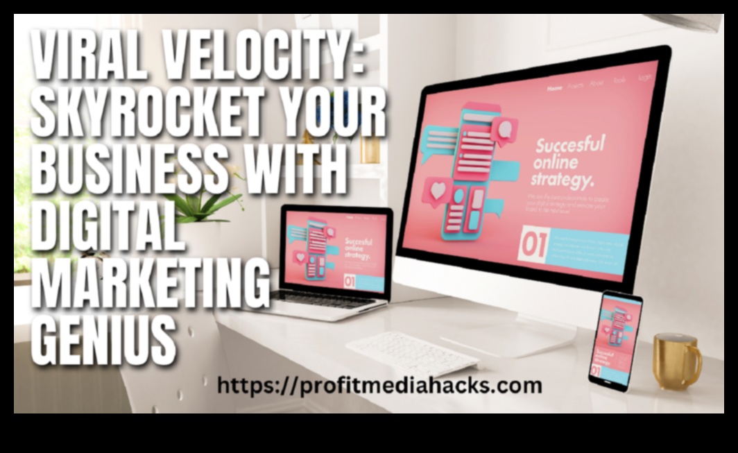 Viral Velocity Πώς να επιταχύνετε την ανάπτυξη μέσω στρατηγικών μέσων κοινωνικής δικτύωσης 1 Viral Velocity: Επιτάχυνση της ανάπτυξης μέσω στρατηγικών μέσων κοινωνικής δικτύωσης