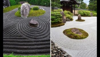 Zen Stones και Karesansui Waves: Japanese Garden Magic