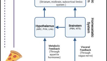 Atoms to Appetite: Understanding Nutrition Biochemistry Dynamics