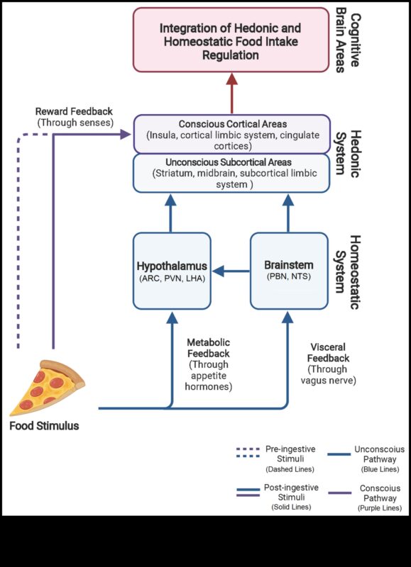 Atoms to Appetite: Understanding Nutrition Biochemistry Dynamics