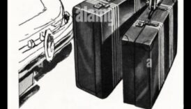 Rove Revelations: Illuminating Your Travel Path