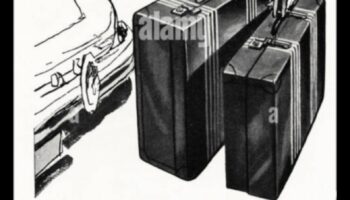 Rove Revelations: Illuminating Your Travel Path