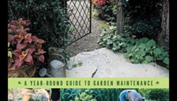 Λάμψη όλο το χρόνο: Προσαρμογή της συντήρησης κήπου στην τελειότητα