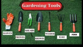 Πρακτική φύτευση: Απαραίτητα εργαλεία κήπου για κάθε κηπουρό