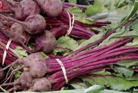 Realtor’s Delight: Roasted Beets, Beet Greens, and Warm Blue Cheese Dressing