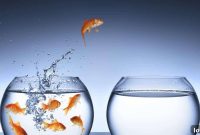 When to Seek Greener Pastures