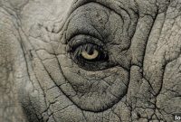 Managing Brokers On The Brink