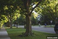 Biophilic Design: The Realtor’s Edge in Modern Property Sales