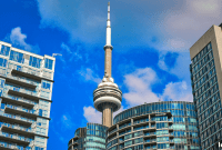 T.O. Market’s Supply-Demand Gap Fuels Price Hikes and Fierce Competition