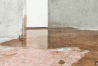 The $10 Secret to Client Wet Basement Solutions