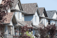 Saskatchewan Market Defies May Sales Drop