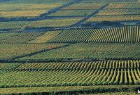 Client Sues Realtor Over Alleged Land Valuation Negligence
