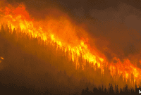 TRREB Delivers $50,000 for Alberta Wildfire Relief