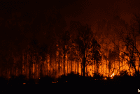 Real Estate Professionals Unite for Wildfire Relief