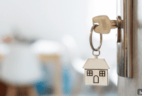Hyperlocal Harvest: Dominating Your Market Through Geofarming
