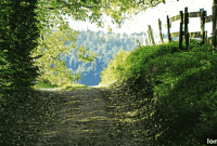 Laneway Rights Defined: Ontario Court Curbs Neighbor Usage