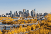 Calgary Real Estate: Overbidding Plummets 44% in Q3, Prices Hold Firm