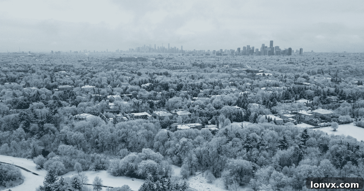 featured 36630