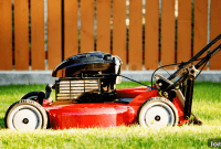 Real Estate’s Green Shift Learning from the Lawnmower Ban