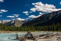 British Columbia Short Term Rental Policy Needs Urgent Reform