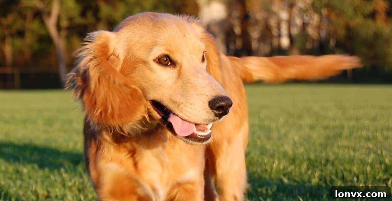 featured 3905