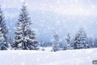 Dan St. Yves: Winter’s Embrace by Sleigh