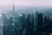 Foch: Deep Market Correction