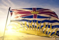 BCFSA Transparency Bid Faces Agent Scrutiny