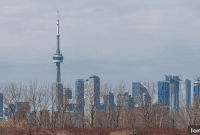 Foch Sees No Bottom for Toronto Housing