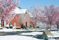 Foch on Canada’s Spring Housing: A Muted and Uneven Opening