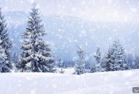 Dan St. Yves: Winter’s Marvel