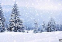 Dan St. Yves Unflinching Winter Home Showings