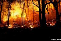 Sutton’s Scott Shaw Pledges Up To $100K Match for Wildfire Relief