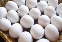When Chickens Speak You Get Expert Eggs