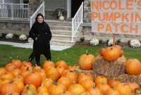 Nicole Beinert’s Pumpkin Patch Fundraisers Benefit Shelter Foundation