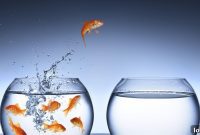 Navigating Sales Turnover: Recruit Strong, Retain Longer