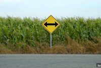 Four Steps to Eradicate Bad Decisions