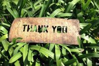 Unlock Your Happiness with Gratitude