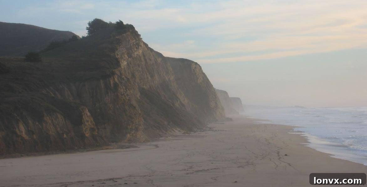 featured 9364